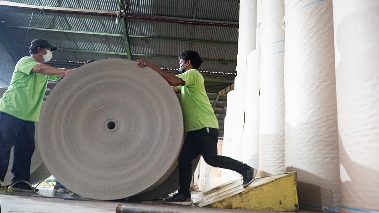 Serap 288 Ribu Pekerja, Industri Pulp dan Kertas Jadi Kontributor Penting bagi PDB