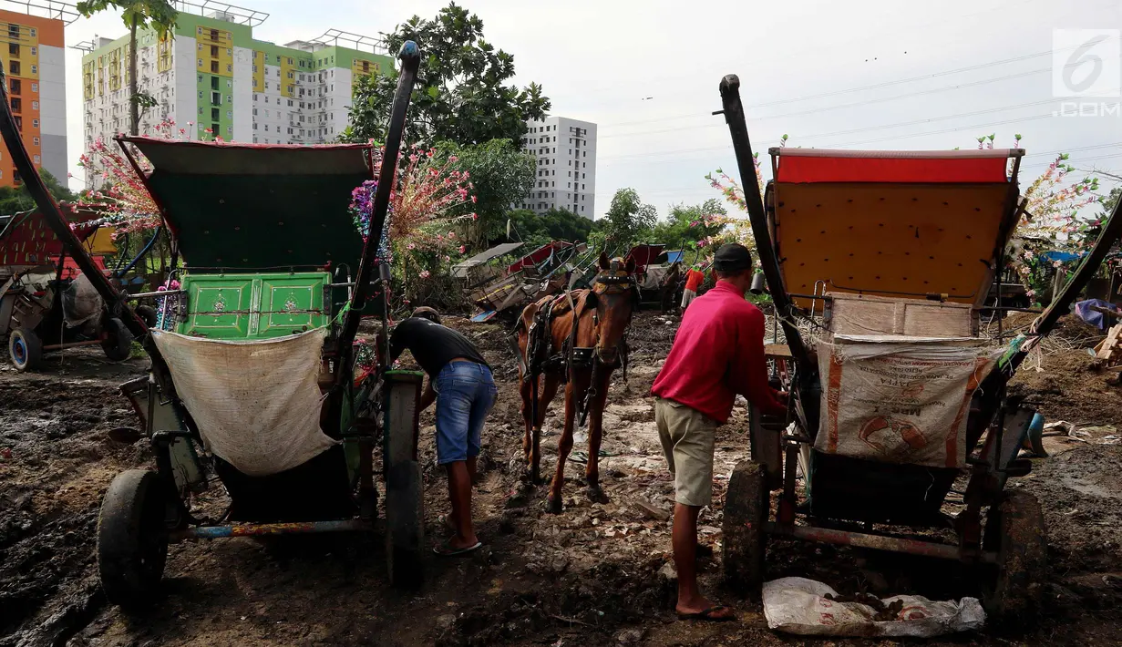 Kusir menyiapkan andong untuk mencari nafkah dengan menarik andongnya untuk wisatawan di Tempat Wisata Jakarta, Khususnya Monas, Banjir Kanal Timur dan Kemayoran di Kelurahan Jatinegara, Kec, Cakung, Jakarta, Sabtu (27/1). (Liputan6.com/Johan Tallo)