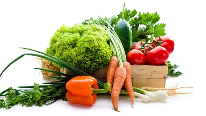 copyright by Shutterstock.com