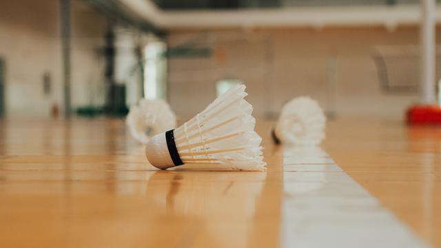 Ilustrasi bulu tangkis, olahraga bola kecil