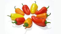 Penelitian mengatakan bahwa paprika merah memiliki lebih banyak kandungan Capsaicin, dari pada saat peprika itu asih berwarna hijau atau kun