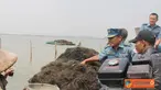 Citizen6,Tarumajaya: Kapuskopal Kolinlamil Letkol Laut (KH) Drs.Uus Kusnendi melihat lamgsung hasil panen rumput laut di daerah  Segara Jaya, Muara Tawar, Tarumajaya, Bekasi, Kamis, (6/9). (Pengirim: Dispenkolinlamil).