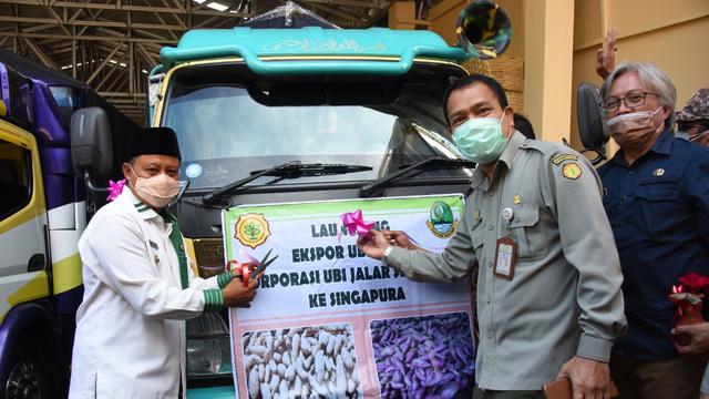 Wakil Gubernur Jawa Barat Uu Ruzhanul Ulum, dalam acara pelepasan di Desa Cilembu, Kecamatan Pamulihan, Kabupaten Sumedang, Kamis (16/9/2021).