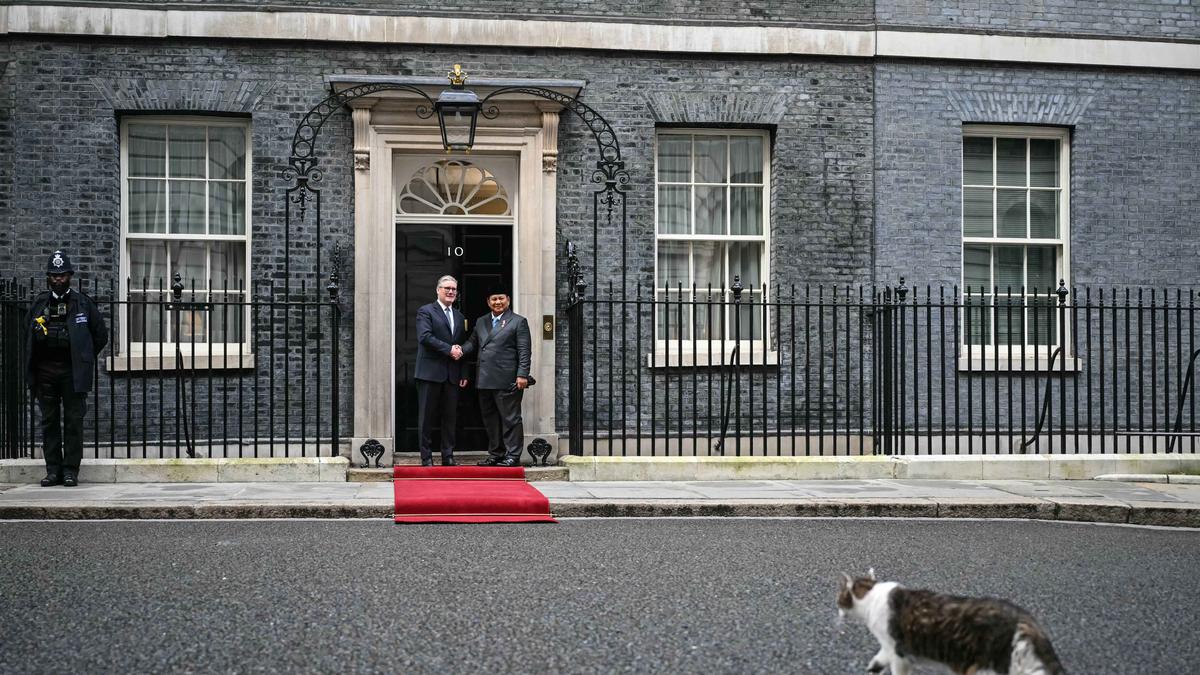 Larry the Cat Hangatkan Momen Pertemuan Presiden Prabowo Subianto dengan PM Keir Starmer