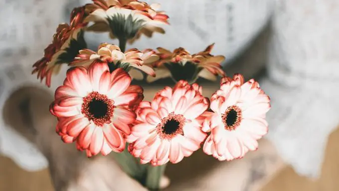 Ilustrasi./Copyright pexels.com/lisa fotios