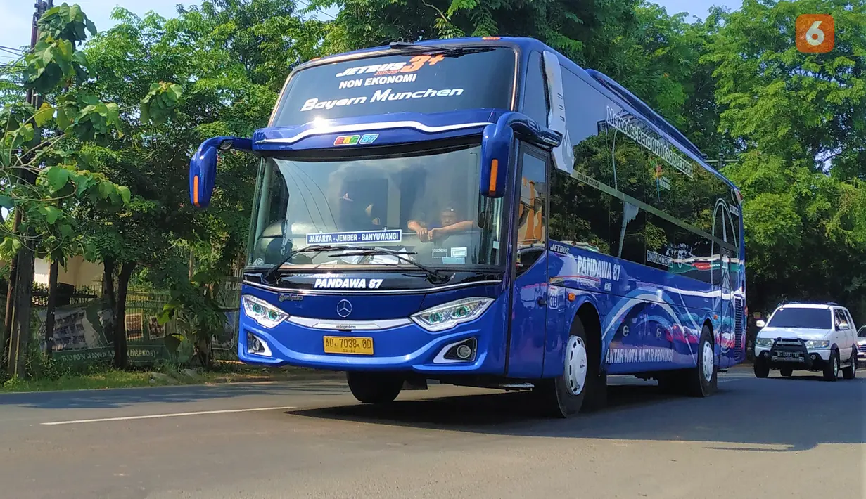 Jetbus 3+ Dream Coach merupakan generasi ketiga jetbus yang hadir dalam wujud Sleeper Bus. Bus ini menawarkan  tingkat kenyamanan yang tinggi dalam perjalanan. Pada bagian dalamnya terdapat kabin yang berisi kursi rebah bertingkat yang mirip dengan hotel kapsul. Bus ini memiliki perubahan pada bagian pilar sampingnya.