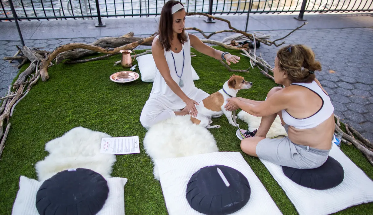 Kathryn (tengah) bersama anjing duduk di atas instalasi seni bertajuk "Sit, Stay, Heal" selama pameran Dogumenta di Manhattan, AS, 11 Agustus 2017. Pameran yang menampilkan 10 patung dan instalasi seni ini dibuat khusus untuk anjing. (AP/Mary Altaffer)