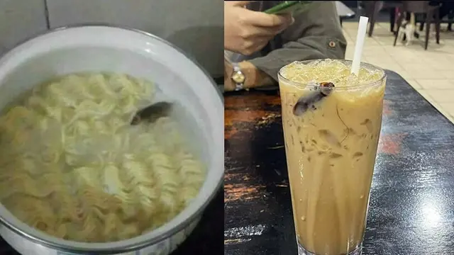 6 Momen Apes saat Makanan Dihinggapi Kecoa Ini Bikin Perut Mual