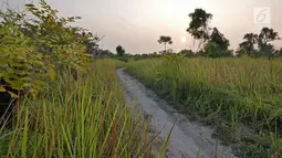 Suasana matahari tenggelam (sunset) di Pulau Pari, Kepulauan Seribu, Jakarta pada 3 Agustus 2019. Pulau Pari merupakan bagian dari 12 pulau dari Kelurahan Pulau Pari dengan potensi keindahan pantai dan alamnya. (Liputan6.com/Herman Zakharia)