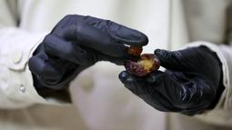 Wanita Palestina bernama Sojood Silwadi membuat kurma berlapis cokelat di rumahnya di Kota Nablus, Tepi Barat, 15 November 2020. Silwadi (26) merintis proyeknya setahun lalu. (Xinhua/Ayman Nobani)