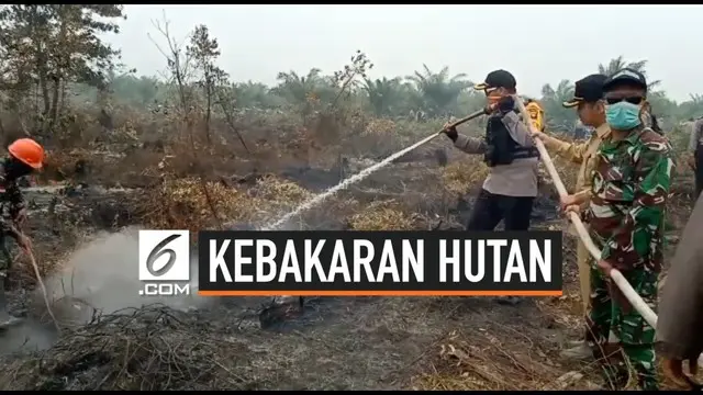 Polrrs Sambas menyegel perusahaan pebakar hutan dan lahan. Polisi juga memeriksa pimpinan perusahaan guna mencari tahu kasus pembakaran ini. Guna mencegah meluasnya kebakaran lahan polisi membasahi areal bekas kebakaran.