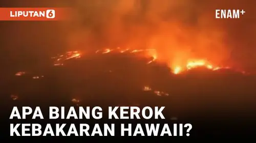 VIDEO: Investigasi Kebakaran Hawaii Berlanjut, Warga Kecewa Soal Ini