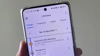Fitur Your Timeline di Google Maps  (Liputan6.com/ Agustin Setyo Wardani)