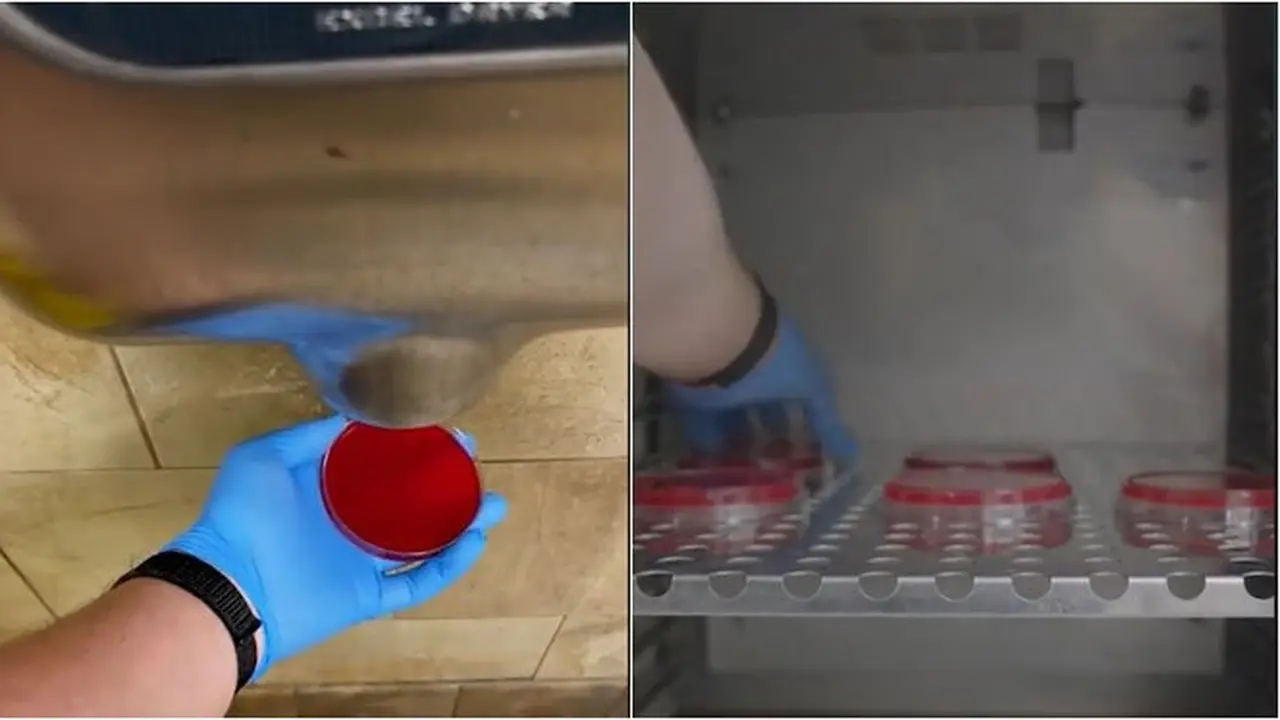 Mengejutkan, Ini Hasil Eksperimen Setelah Pakai Pengering Tangan di Toilet
