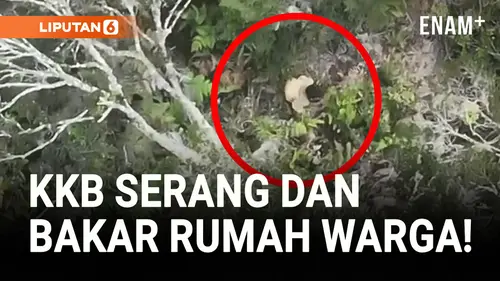  KKB Pimpinan Kalenak Murib Serang Warga, 3 Orang Tewas!