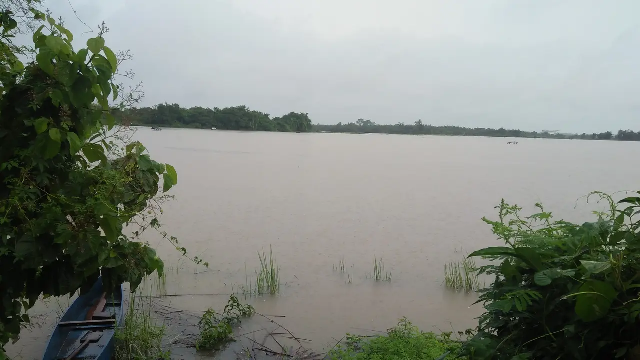 Sawah di Batas Kota Makassar Berubah Jadi Kolam Lumpur
