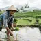 Hari Tani Nasional (Hari Agraria): Potret Petani & Tantangan Pertanian Indonesia