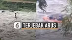 Ia terjebak di tengah sungai dan bertahan di atas batu.