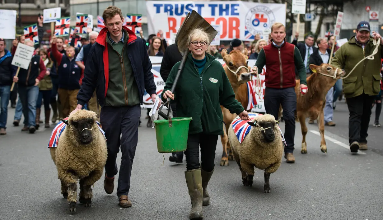 Peternak lokal membawa sapi dan domba dalam aksi protes yang digelar di Downing Street, pusat kota London, Inggris, Rabu (23/3). (LEON Neal/AFP)