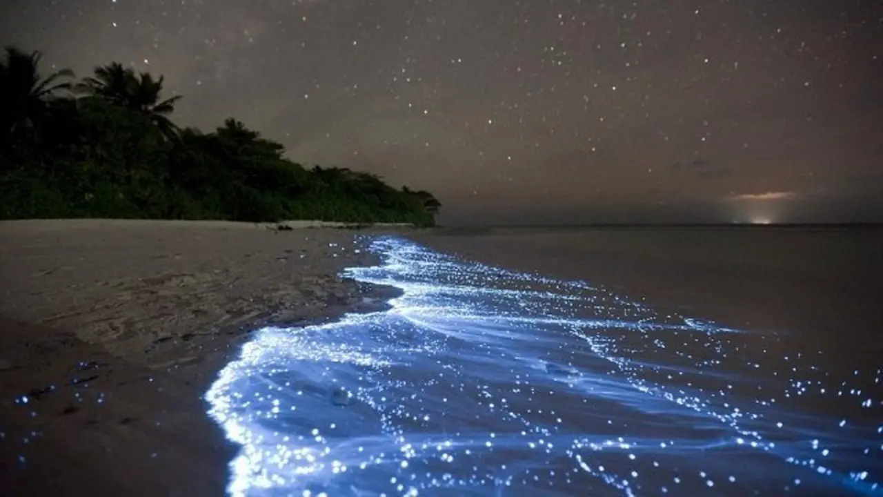 [Bintang] Maldives