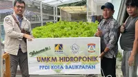 UMKM hidroponik yang dikelolah oleh penyandang disabilitas di Balikpapan terus berkembang.