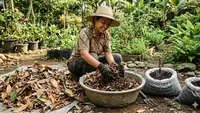 Cara Bikin Media Tanam dari Daun Kering Tanpa Beli Pupuk untuk Kebun Subur Anda