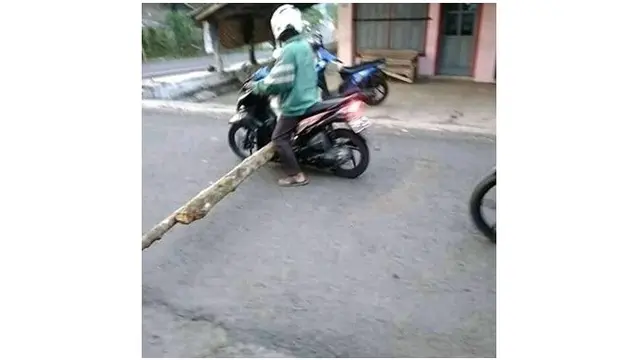 bapak bapak