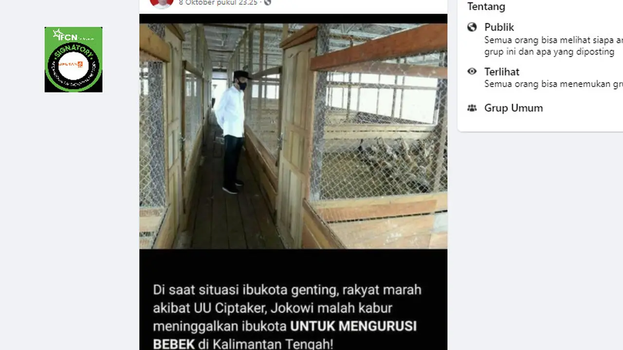 Penelusuran Klaim Foto Jokowi Mengurus Bebek
