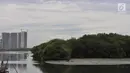 Kondisi hutan mangrove atau bakau di sekitar pesisir Kamal Muara, Penjaringan, Jakarta, Rabu (21/3). Dilansir dari laman data.jakarta.go.id, saat ini total luas hutan bakau di pesisir Jakarta sekitar 430 hektare. (Merdeka.com/ Iqbal S. Nugroho)