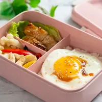 ilustrasi bekal makan siang/Kenishirotie/Shutterstock
