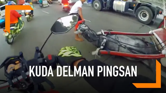 VIDEO: Kelelahan, Kuda Delman Pingsan di Jalan