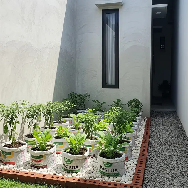 9 Ide Kebun Sayur Sederhana di Samping Rumah Pakai Karung Beras, Praktis dan Hemat Lahan