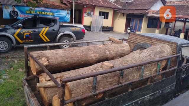 Penampakan barang bukti gelondongan kayu di dalam mobil yang diamankan di Mapolsek Jepon dari hutan petak 6024 RPH Jomblang, BKPH Nglobo, Sub KPH Cepu Selatan (Liputan6.com/Ahmad Adirin)