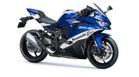 Kawasaki Ninja ZX-4R dirumorkan akan mengadopsi desain ZX-25R (zigwheels.com)