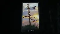 Tarot Cinta: Peluang Kebahagiaan dari Pekerjaan Baru