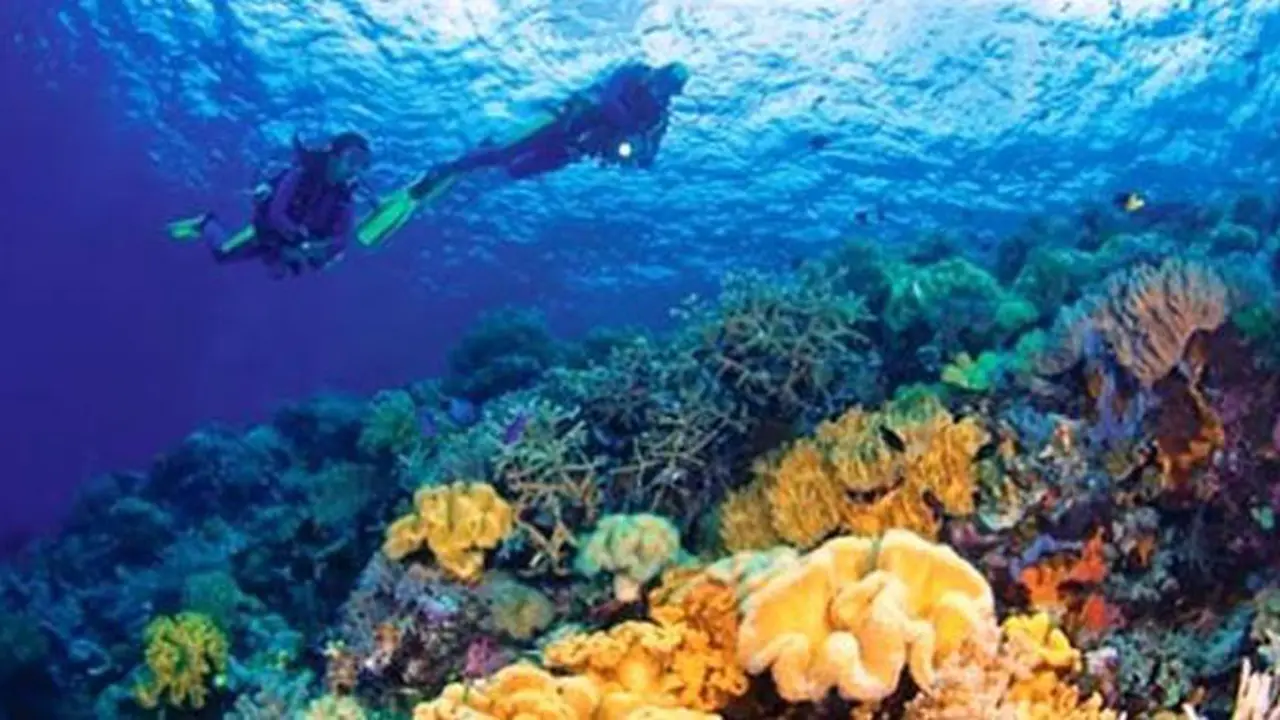 Dongkrak Destinasi Wakatobi dengan Festival Pulau Tomia