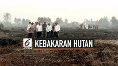 Presiden Jokowi beserta beberapa menteri meninjau lokasi kebakaran utan di Riau. Presiden mengakui seluruh petugas telah berusaha maksimal memadamkan api, namun ternyata usaha belum maksimal.