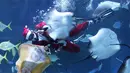 Seorang penyelam yang mengenakan pakaian Sinterklas berenang pada acara untuk mempromosikan liburan Natal di Coex Aquarium, Seoul, Korea Selatan, Jumat (3/12/2021). Natal adalah salah satu hari libur terbesar yang dirayakan di Korea Selatan. (AP Photo/Ahn Young-joon)