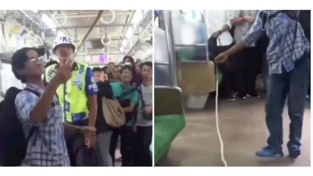 6 Potret Penemuan Ular di Dalam Transportasi Umum, Bikin Panik Penumpang