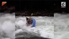 Perahu penuh penumpang terpaksa terbalik setelah tak mampu melewati arus deras saat arung jeram.