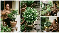 7 Cara Mengerdilkan Pohon Melati agar Muat di Pot Teras dan Wangi Sepanjang Tahun