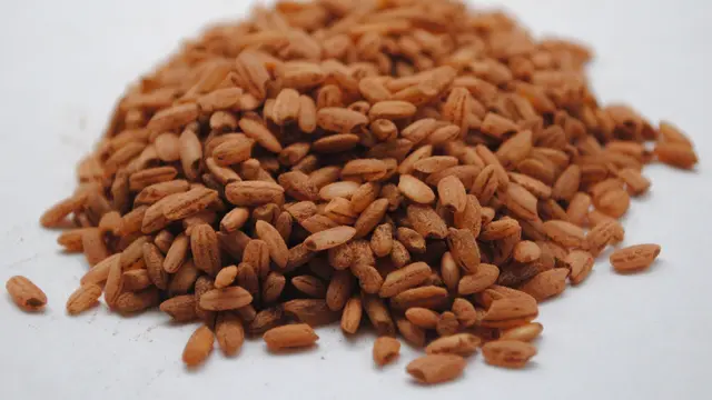 Seputar Nasi Merah Beserta Manfaatnya