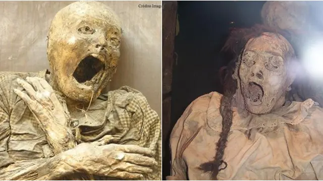 trip-advisor.co.uk_oddee.com