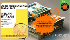 Waspada Hoaks Bantuan Ayam Marak Beredar, Cek Faktanya Agar Tak Tertipu