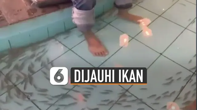 VIDEO: Ngenes, Ikan Menjauh Saat Pria Ini Ingin Terapi