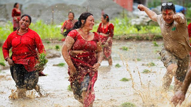 Asar Pandra, Hari Menanam Padi di Nepal