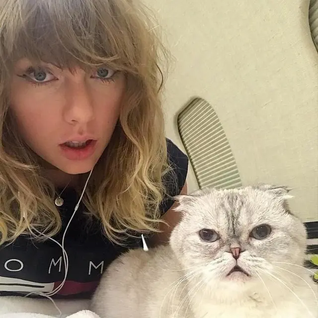 Kucing Taylor Swift Dinobatkan Jadi Hewan Peliharaan Terkaya ke-3 di Dunia Versi Rolling Stone