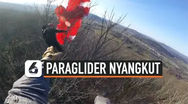 paraglider