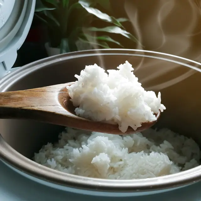 Penyebab Nasi Mudah Basi Ketika Ditanak Dengan Rice Cooker Lifestyle Fimela Com