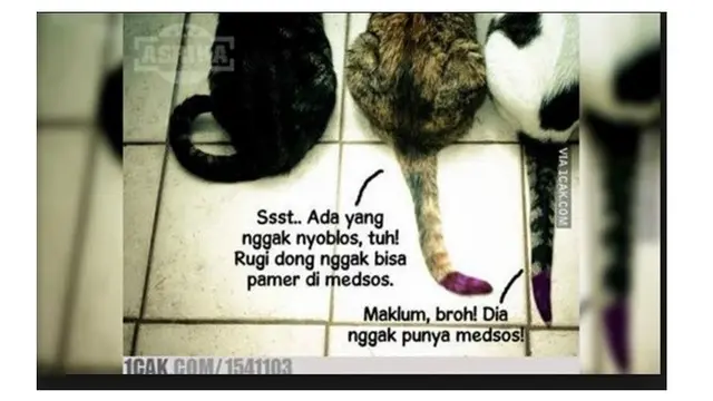 Meme Habis Nyoblos Dengan Tinta Ungu